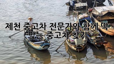 제천 중고차 전문가와 함께 딱 맞는 중고차 찾기!