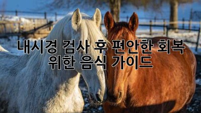 내시경 검사 후, 편안한 회복 위한 음식 가이드