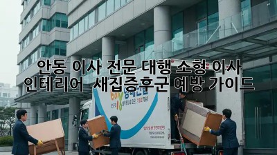 안동 이사 전문 대행: 소형 이사 인테리어 & 새집증후군 예방 가이드! ✨